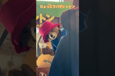 ひょっこりパディントン #パディントン消えた黄金郷の秘密#PaddingtonInPeru #Shorts