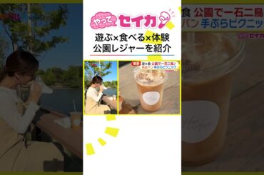 #井上清華 キャスターがピクニック🧺人気ベーカリー&最新カフェも充実の公園を満喫リポート🎶 #やってセイカ！ #めざましテレビ #shorts