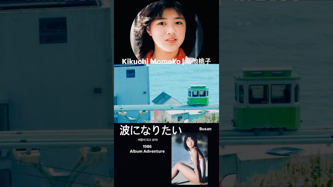 菊池桃子-波になりたい 모모코,바람이 되고싶어! #菊池桃子 #kikuchimomoko #키쿠치모모코 #波になりたい#80sjpop #citypop #busan #shorts #jpop