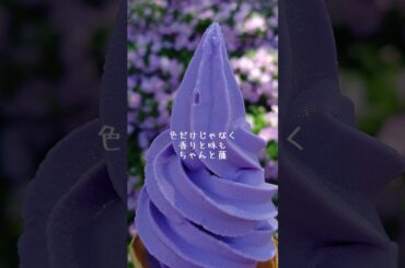 【栃木】高速バスDE弾丸ツアーのすゝめ【旅行】