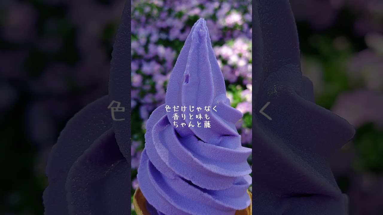 【栃木】高速バスDE弾丸ツアーのすゝめ【旅行】 【栃木】高速バスDE弾丸ツアーのすゝめ【旅行】