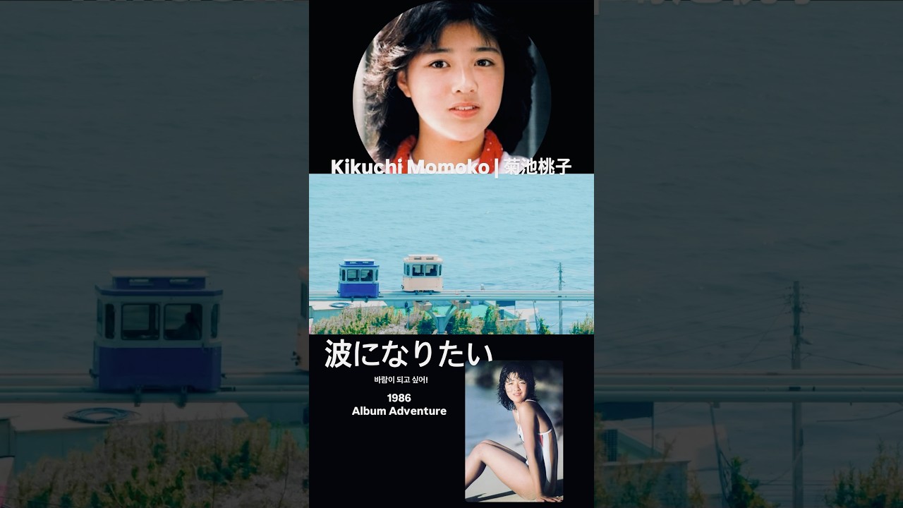 菊池桃子-波になりたい 바람이 되고싶어!! #菊池桃子 #kikuchimomoko #키쿠치모모코 #波になりたい#80sjpop #citypop #busan #shorts #jpop