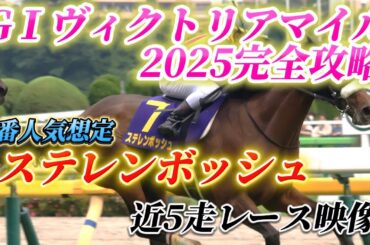 【GⅠヴィクトリアマイル2025完全攻略】ステレンボッシュ近5走レース映像！レース映像から最高の予想を。
