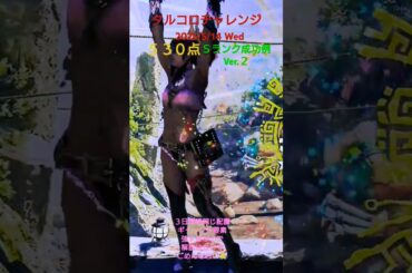 タルコロチャレンジ (2025/5/14)Ｓランク ５３０点 成功例 Ver.２