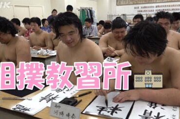 【午後LIVEニュースーン】密着！大相撲・相撲教習所【SOON相撲部】| NHK