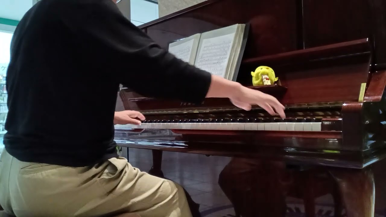 瞳そらさないで『ZARD/ザード』『DEEN/ディーン』坂井泉水/織田哲郎/葉山たけし/明石昌夫『センター南駅ステーション・ピアノ/Cennan Piano/セン南ピアノ』ストリート・ピアノ/202