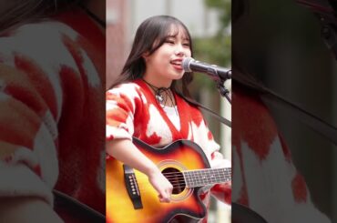 #ヒカリヘ＃結＃miwa＃反抗期娘がパパに贈る歌＃オリジナル＃CHISAKI#公認路上ライブ ＃ssw#弾き語り＃素敵な歌声＃弾き語り＃アコギ＃kabukichostreetlive＃miwaの日