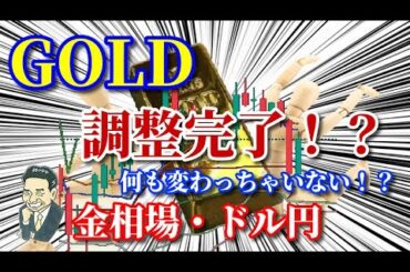 【金相場】【ドル円】値動きに引っ張られずに冷静な対応を！【COMEX金】