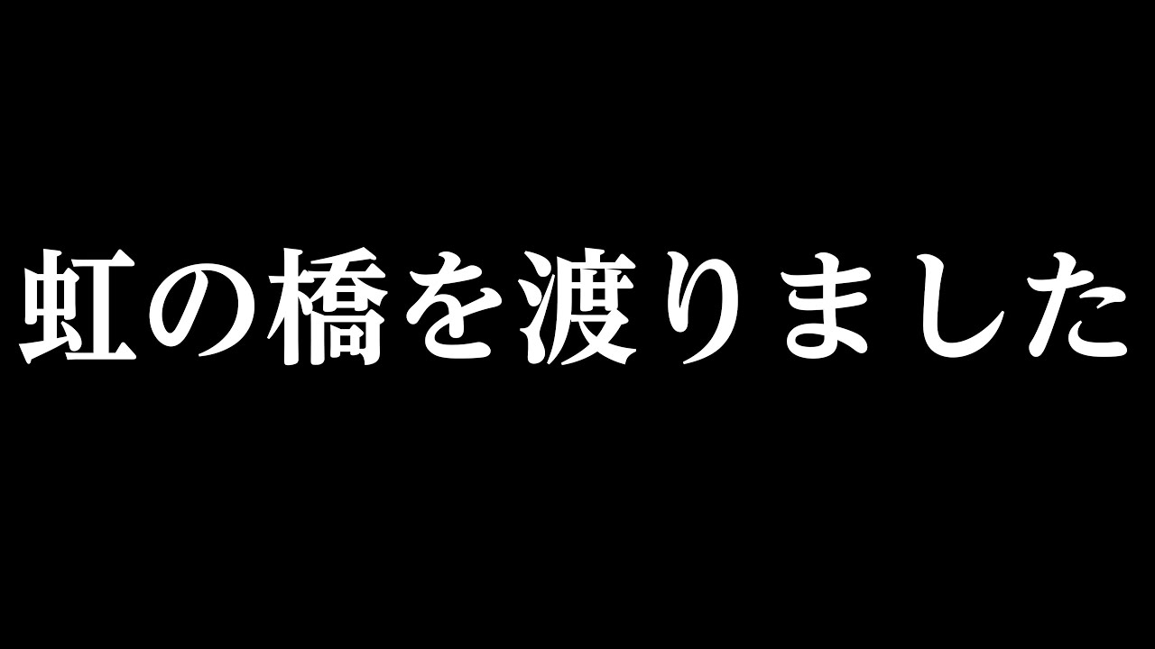 番外編  ローラさんが虹の橋を渡りました【‎2025年‎】【千葉市動物公園】ゴリラ