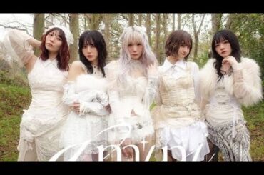 【デビュー目前】YU-KAプロデュースの新グループ・amini始動！羽ばたけ、魅了と略奪の天使たち🪽✨6.6歌舞伎町で初ライブ開催！