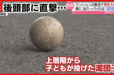 男性が頭に大けが 原因は子どもが投げた『泥団子』だった 熊本市のマンション敷地
