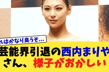 芸能界引退の西内まりやさん、様子がおかしい【2chまとめ】【2chスレ】【5chスレ】