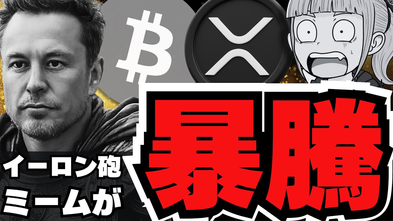 【仮想通貨】イーロン砲で爆上げ!ビットコインバブルは年末までか/リップルに弱気兆候?今後どうなる?/トランプファミリーが買ったコインが急騰 【仮想通貨】イーロン砲で爆上げ!ビットコインバブルは年末までか/リップルに弱気兆候?今後どうなる?/トランプファミリーが買ったコインが急騰