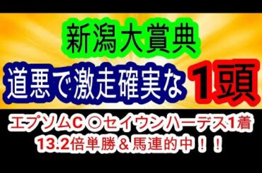 【競馬予想】新潟大賞典2025　大波乱率99 9%　雨の新潟で力を発揮する馬とは・・・