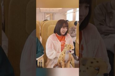 幸せカナコの殺し屋生活  能年玲奈、藤谷太辅、矢本悠马、 山崎纮菜  #shorts #action #drama #能年玲奈 #藤谷太辅 #幸せカナコの殺し屋生活