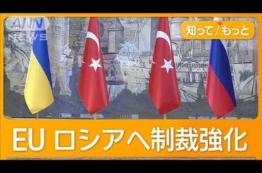 ウクライナ「ロシアの要求は非現実的」　3年ぶり直接協議も双方の主張に隔たり【知ってもっと】【グッド！モーニング】(2025年5月17日)