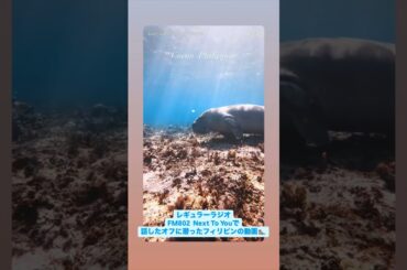 2025年05月16日 Perfume かしゆかさんINSTAGRAMストーリーズ1分Version・しゅみゆか～ジュゴンに会いにフィリピンのコロンへ行ってきました✈️