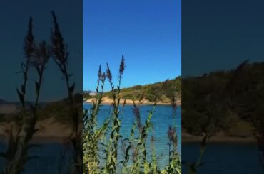 幸先坂/真木よう子 椎名林檎 covered by ama #cover #弾き語り #piano #女性ボーカル