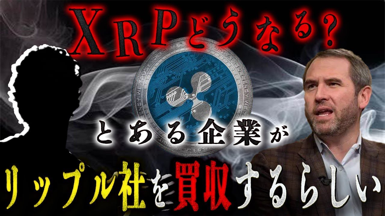 【衝撃事実】リップル社が買収されたらどうなる? #リップル #仮想通貨 #ビットコイン #xrp 【衝撃事実】リップル社が買収されたらどうなる? #リップル #仮想通貨 #ビットコイン #xrp