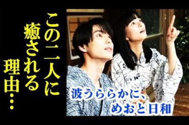 ｢波うららかに、めおと日和｣ドラマ 言葉はなくても伝わる夫婦の温かさが…感想、あらすじ