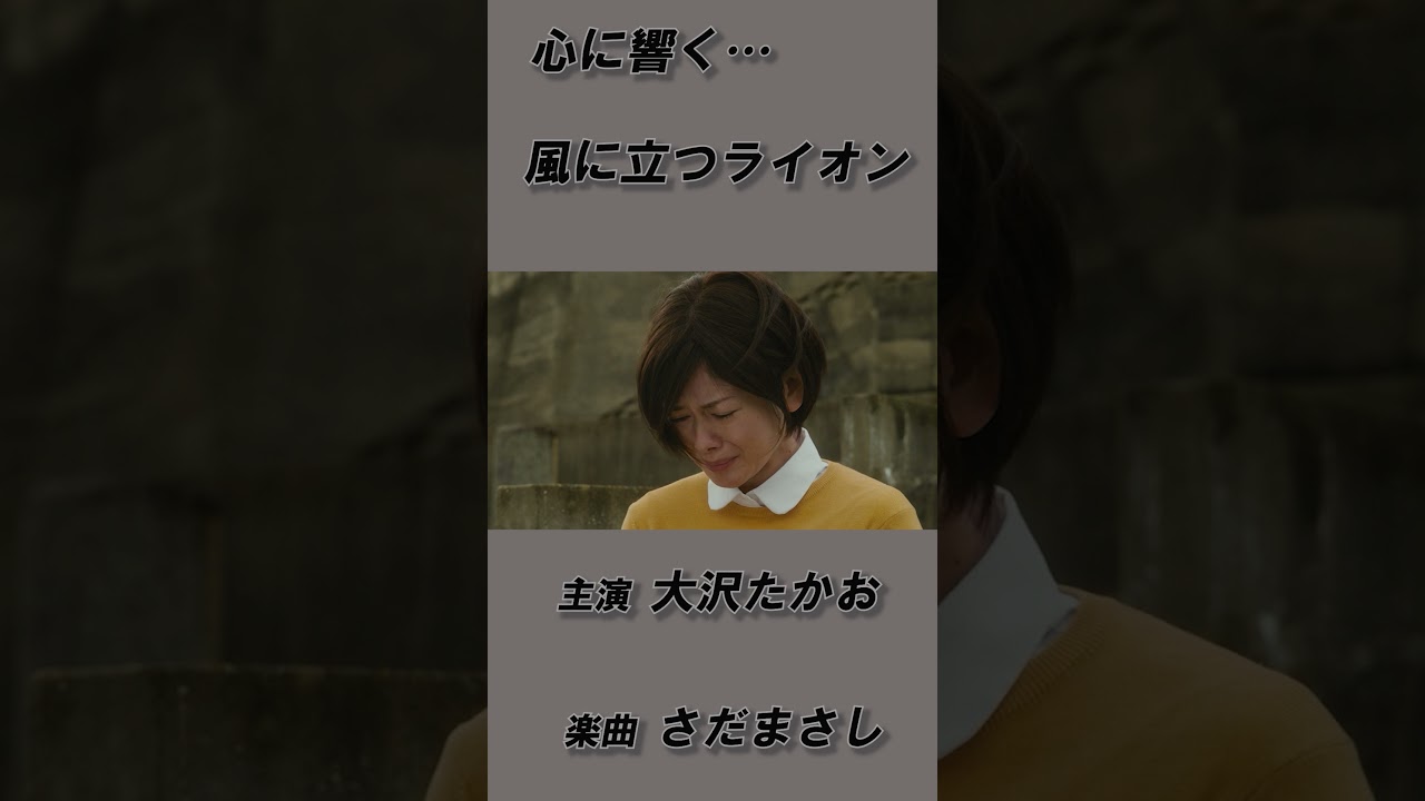 風に立つライオン  video   #shots #邦画 #さだまさし #大沢たかお #石原さとみ #真木よう子