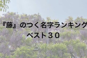 『藤』のつく名字ランキングベスト３０