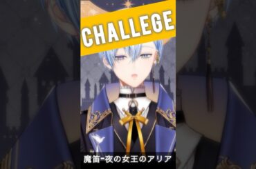 【必死に】夜の女王のアリア/ 歌劇《魔笛》より（モーツァルト） cover #歌ってみた The Magic Flute / Die Zauberflöte #新人vtuber