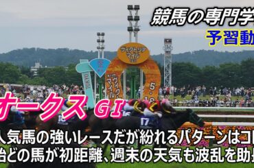 【オークス2025】予習動画 過去に馬券内に来た２ケタ人気馬に共通する点は？他