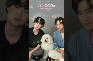 『#初恋DOGs』🐕#成田凌 ×ナ･イヌ 2shot特別メイキング📸 #ナイヌ