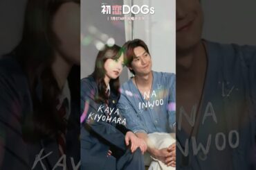 『#初恋DOGs』🐕#清原果耶 ×ナ･イヌ 2shot特別メイキング📸 #ナイヌ