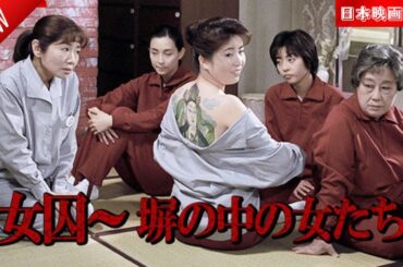 「日本映画フル」女囚～塀の中の女たち ✔️📀📽️サスペンスドラマ最新2025 FULL HD