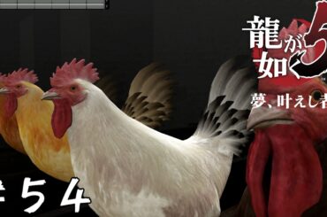 【アクション】みーちゃんのお仕事【龍が如く5 夢、叶えし者】＃５４