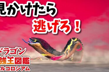 【ドラゴン最強王図鑑】メスターストゥアワーム変異種で究極魔力大会