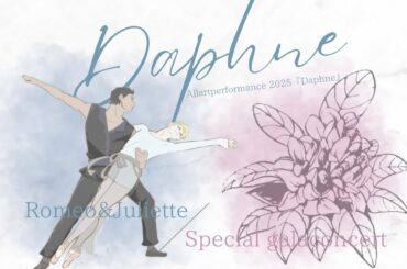 NaviClub Allartperformance 2025Daphne PV