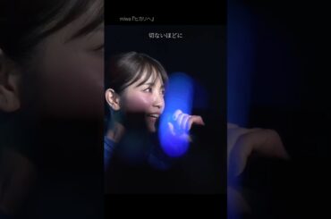 miwa「ヒカリへ」in『BLUE☆LIGHT SERIES 2025 Supported by nojima』