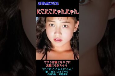 にこにこにゃんにゃん #straycats