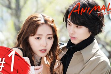 主演： #鈴木愛理 #本田響矢 「恋も仕事も弱肉強食！？」【ANIMALS-アニマルズ-】#1