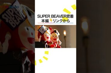 #SUPERBEAVER #主人公 誕生までの舞台裏に独占密着 #井上清華 #軽部真一 #めざましテレビ #shorts