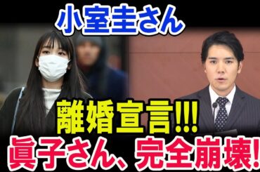 小室圭さんが離婚宣言!!!眞子さん、完全崩壊!