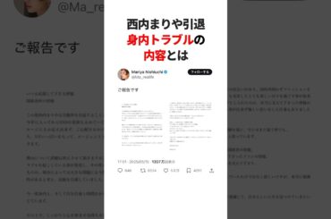 西内まりや引退身内トラブルの内容とは