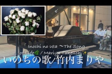 【StreetPiano】 この命にありがとう…いのちの歌🌱竹内まりや🌿English Lyrics⬇️歌詞有り↓M.Takeuchi The Song of Life ✨Shigeru KAWAI
