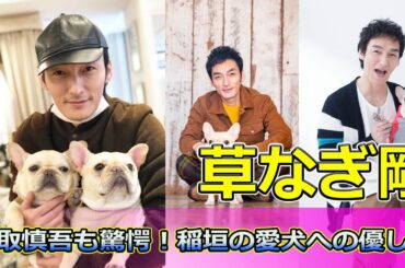 【速報】草なぎ剛・香取慎吾も驚愕！稲垣の愛犬への優しさ #Tsuyoshi Kusanagi-24h,#稲垣吾郎, #草なぎ剛, #香取慎吾, #ななにー, #地下ABEMA, #ペット自慢,