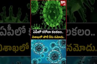ఏపీలో కరోనా.. | Corona Cases In AP | AP Coronavirus Latest Updates | COVID Cases in AP | BIG TV
