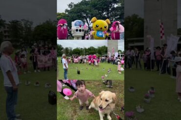 つくばピンクリボンフェスティバル2025🎀