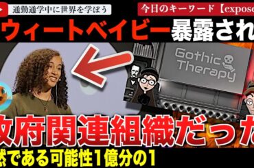 なぜ大企業が次々と？答え合わせ完了か！？スウィートベイビー創設の裏側が暴露！創設者が書き換えられていて、カナダ政府の関与が疑われるやばすぎる事態に