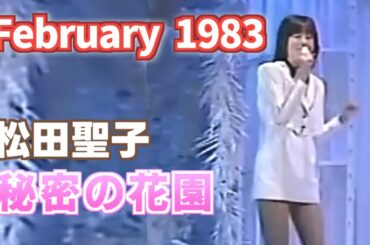 1983年2月　秘密の花園　松田聖子