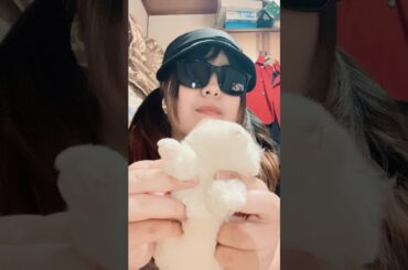 コツコツPONPONEKOダンス #爆上戦隊ブンブンジャー #松本梨香 #ねこ #ダンス #踊ってみた