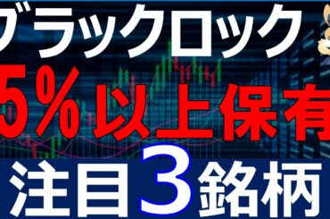 【大量保有】ブラックロックが5％以上保有してる日本株3銘柄