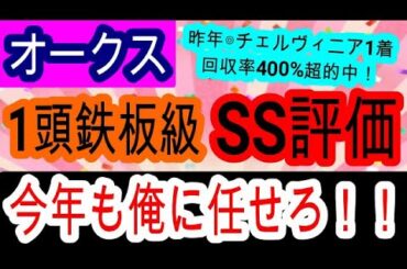 【競馬予想】オークス2025　あの馬が過去最高のデキ！　3強に見えるが実は1強な理由を教えます！！