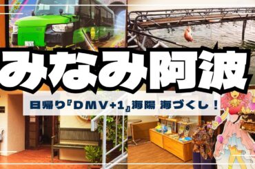 【徳島 海陽町】四国の右下 ｜日帰り海づくしツアー DMVと魚釣り体験🌧️雨で楽しむ海陽町！